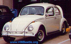 bug.jpg (43533 bytes)